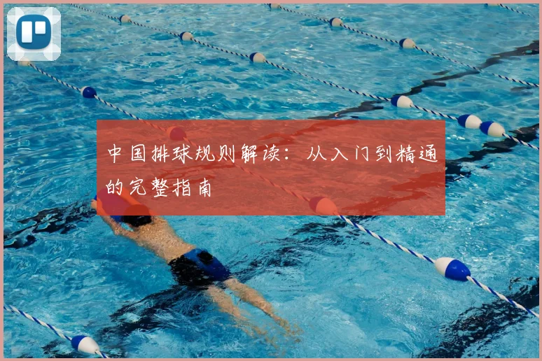 中国排球规则解读：从入门到精通的完整指南
