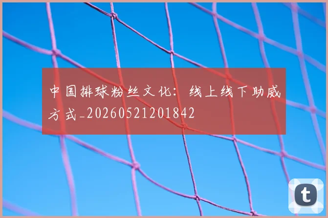 中国排球粉丝文化:线上线下助威方式_20260521201842
