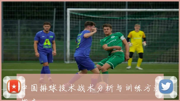 中国排球技术战术分析与训练方法指南