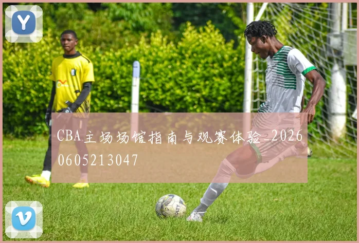 CBA主场场馆指南与观赛体验_20260605213047