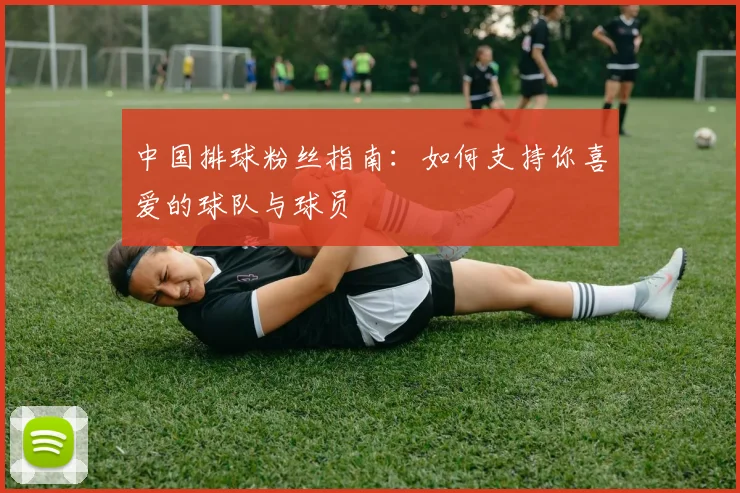 中国排球粉丝指南:如何支持你喜爱的球队与球员