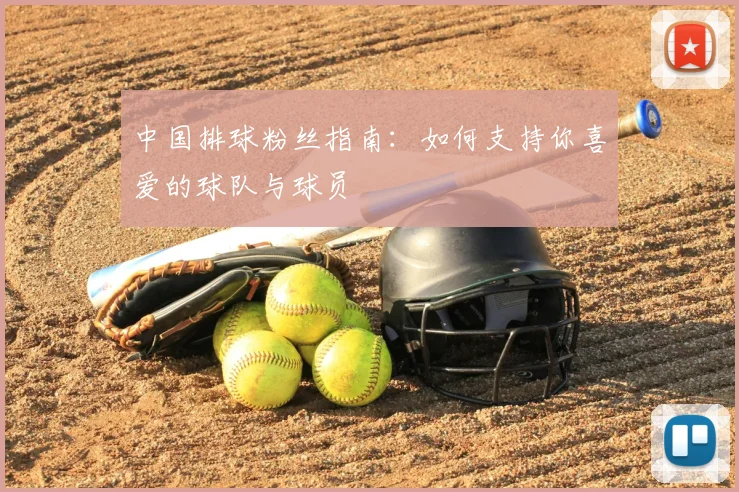 中国排球粉丝指南：如何支持你喜爱的球队与球员