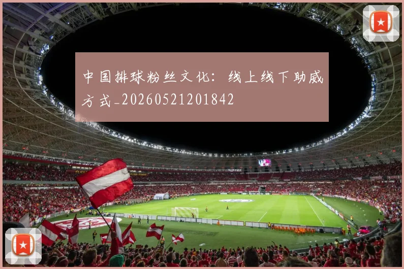中国排球粉丝文化：线上线下助威方式_20260521201842
