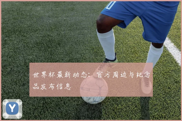 世界杯最新动态：官方周边与纪念品发布信息